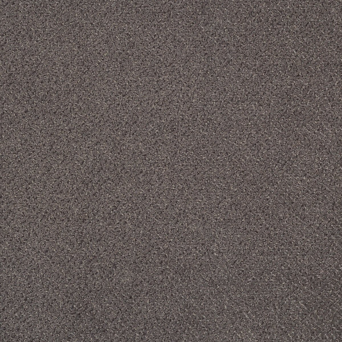 Prestige Prominence 74525