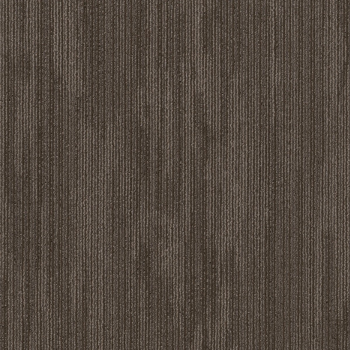 Primal Indigenous 00200