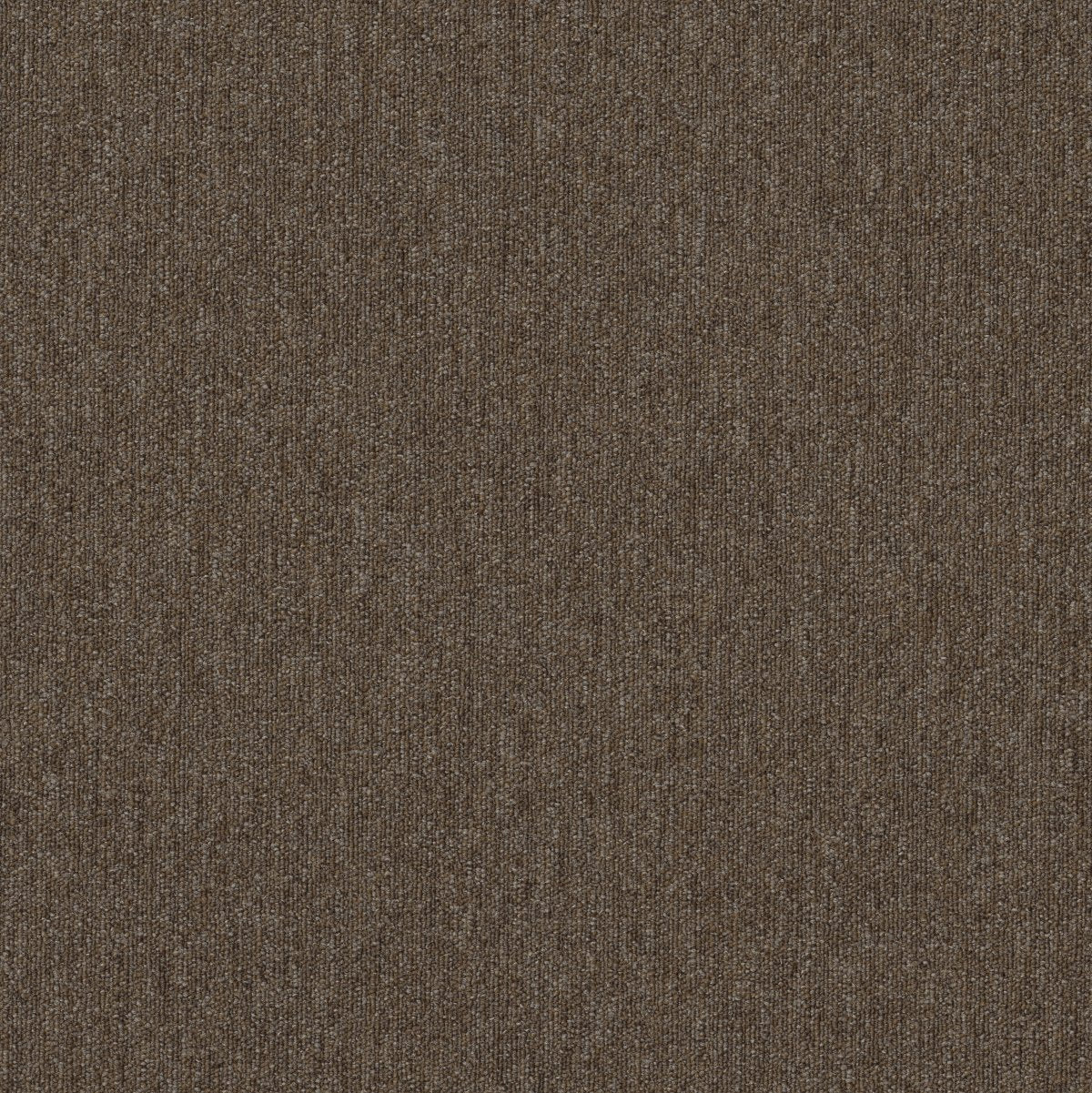 Profusion 20 Heaps 00700