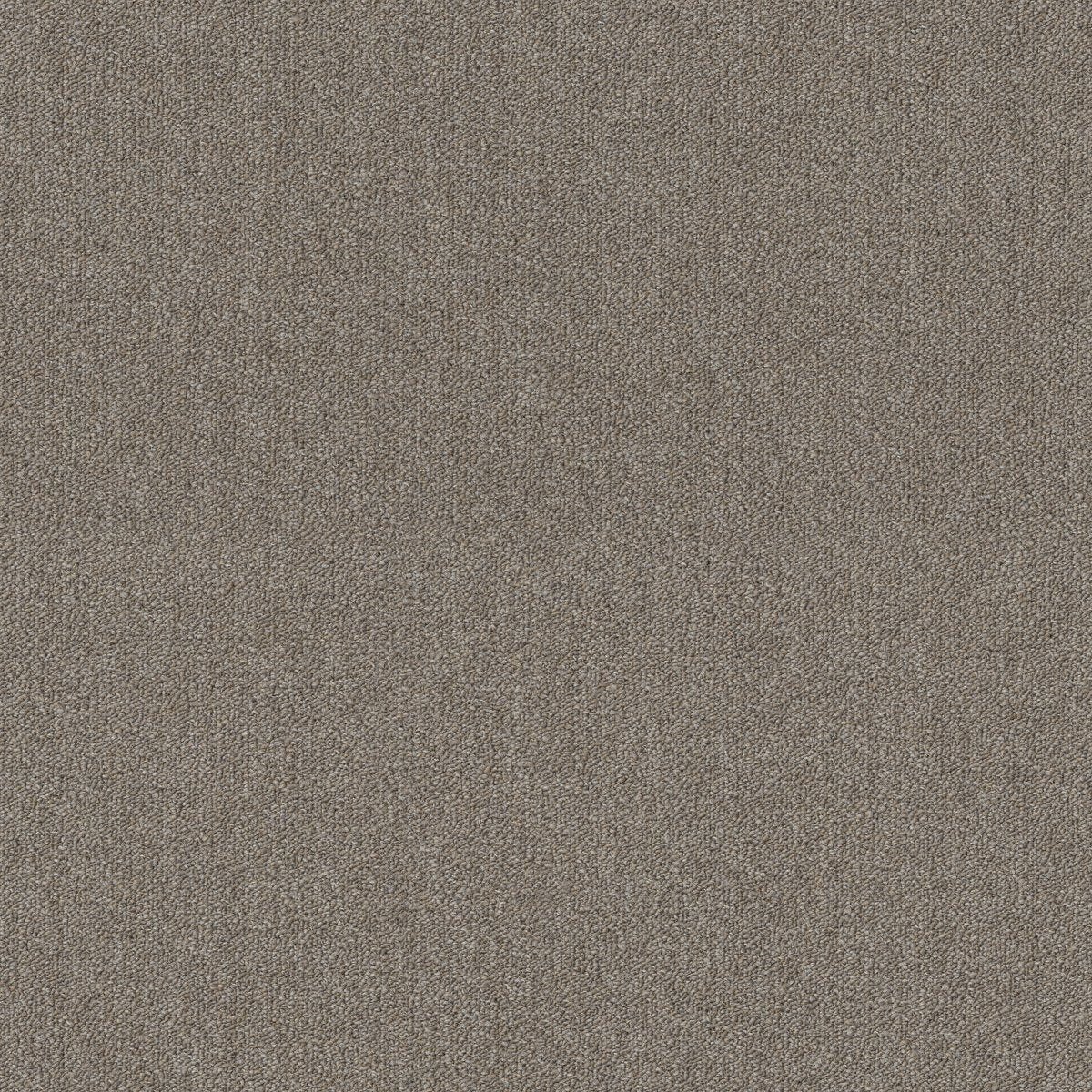 Profusion 20 Masses 00200