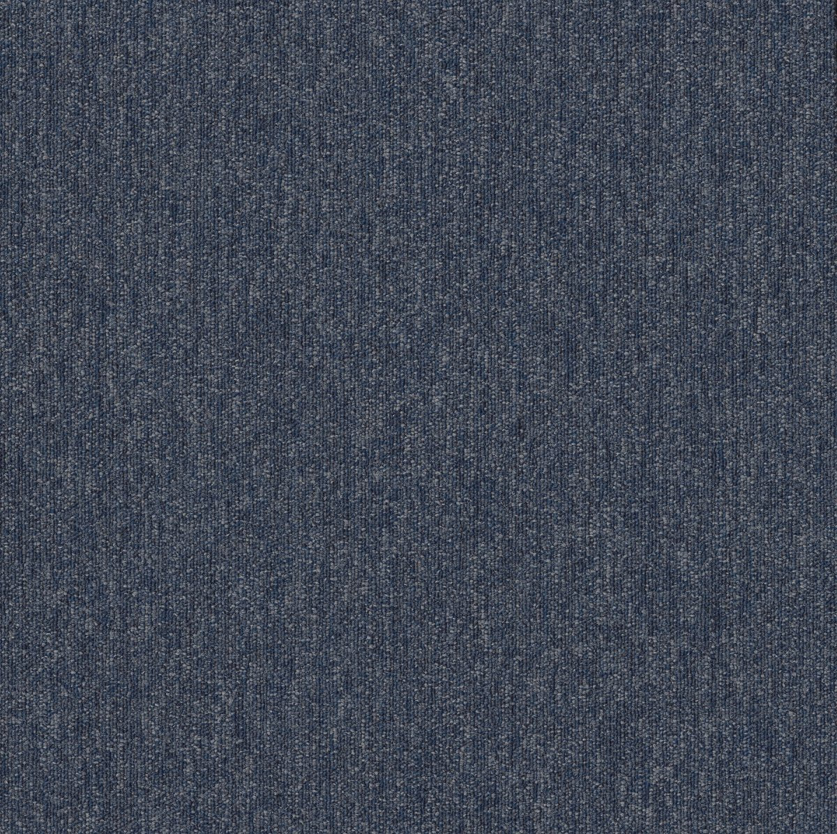 Profusion 20 Multitude 00400