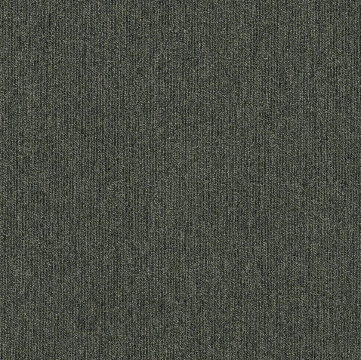Profusion 20 Stacks 00300