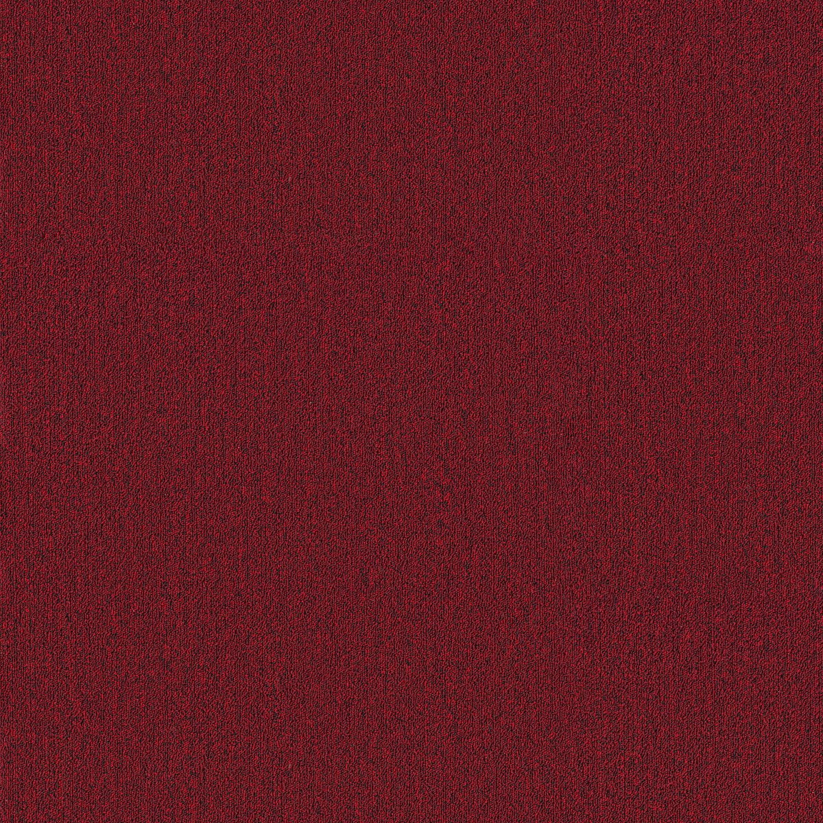 Profusion 20 Thrive 00830