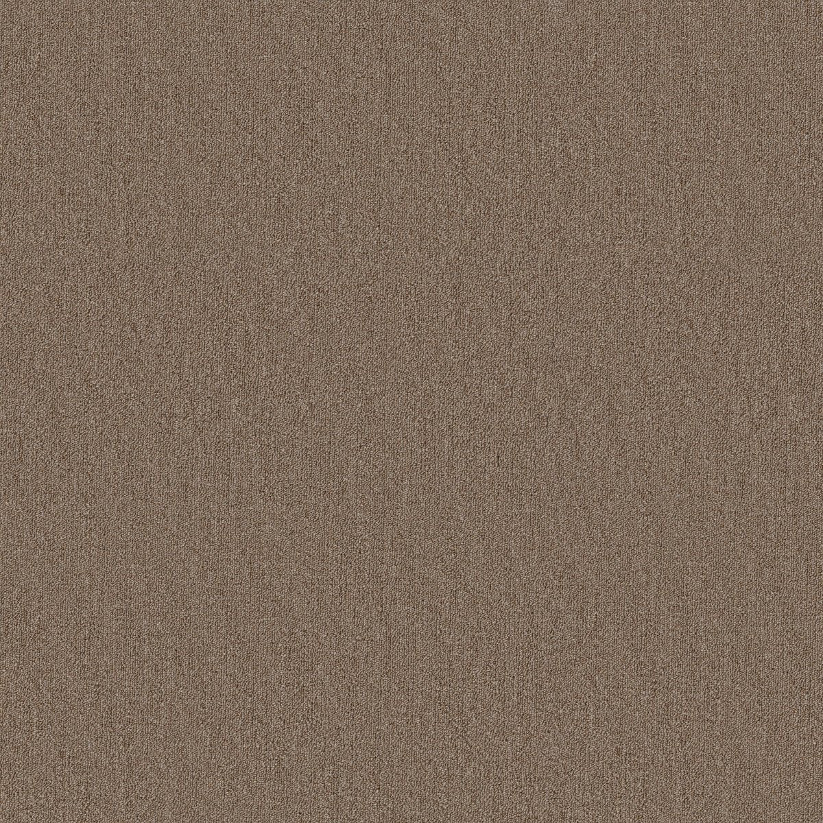 Profusion 26 Ample 00230