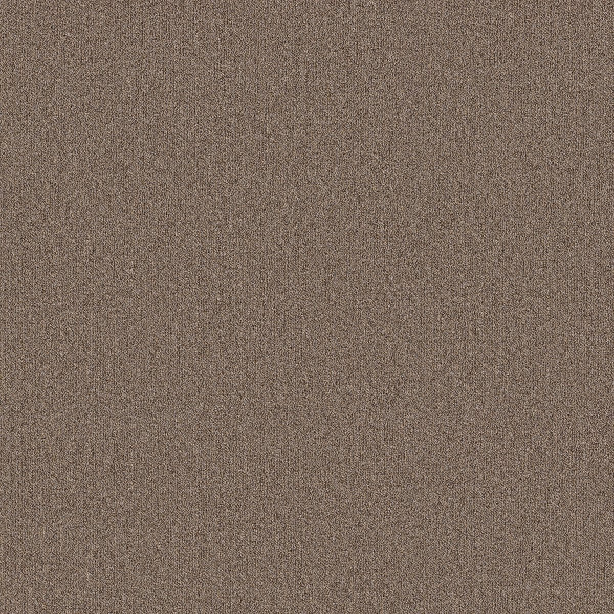 Profusion 26 Excess 00730