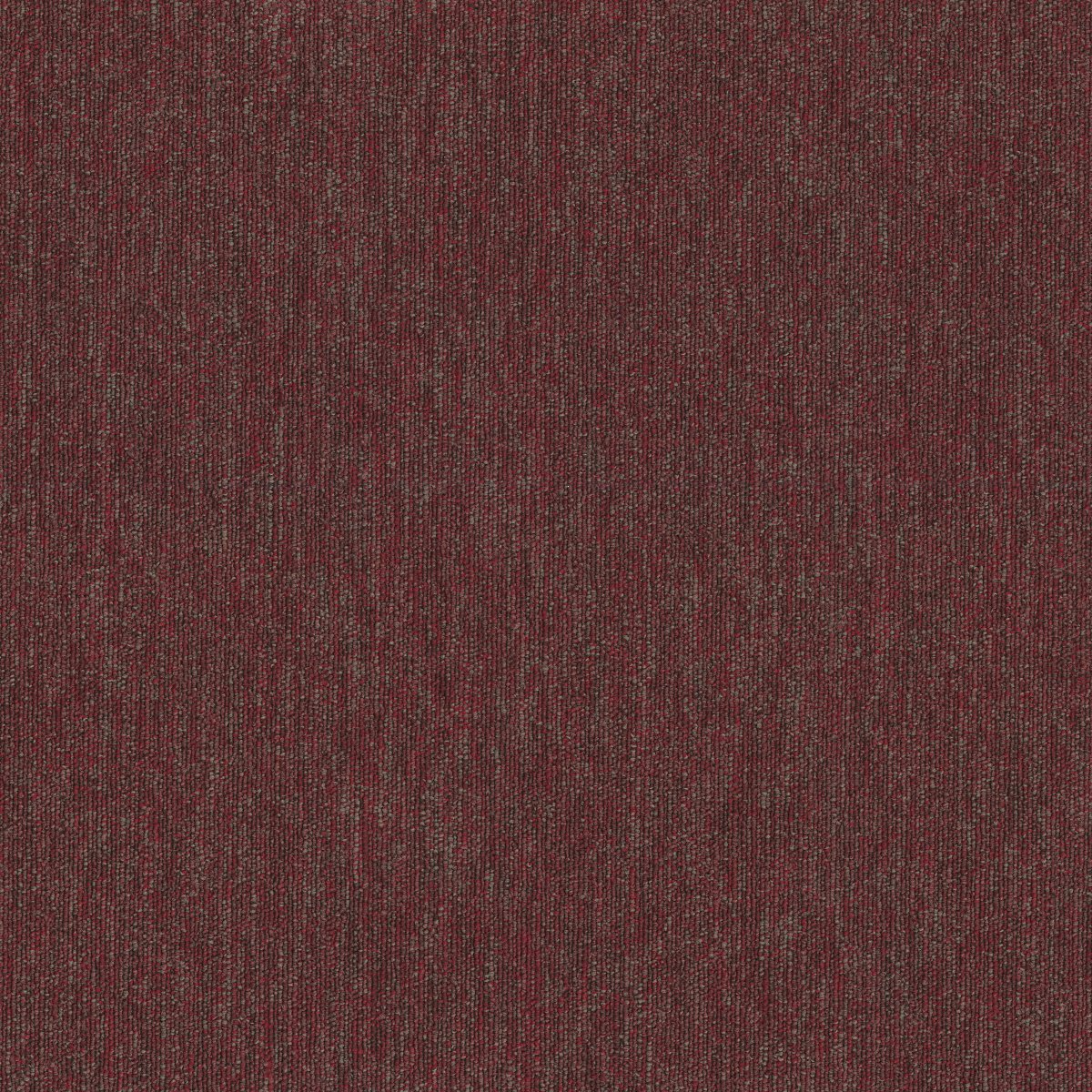 Profusion 26 Gobs 00800