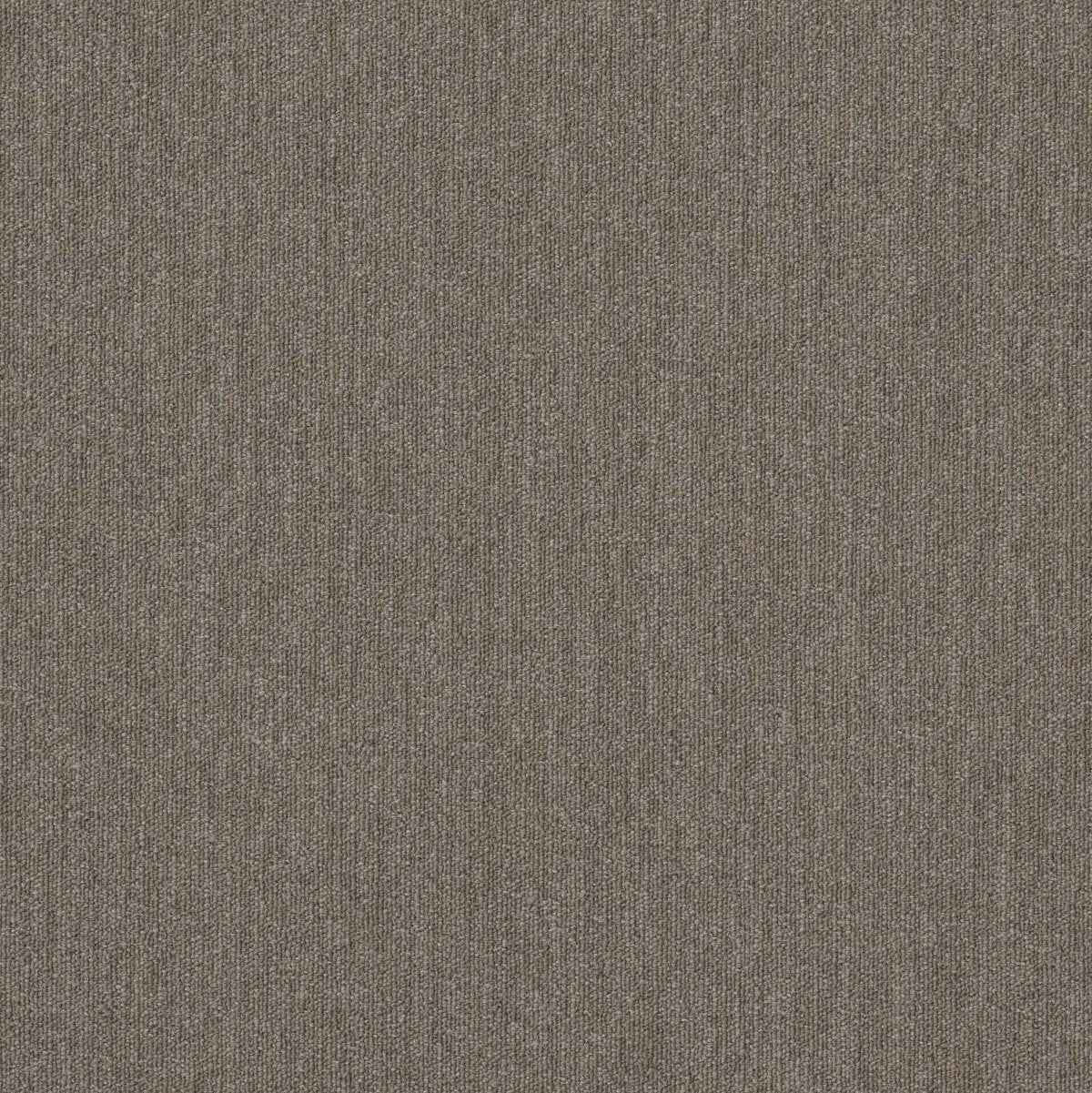 Profusion 26 Masses 00200