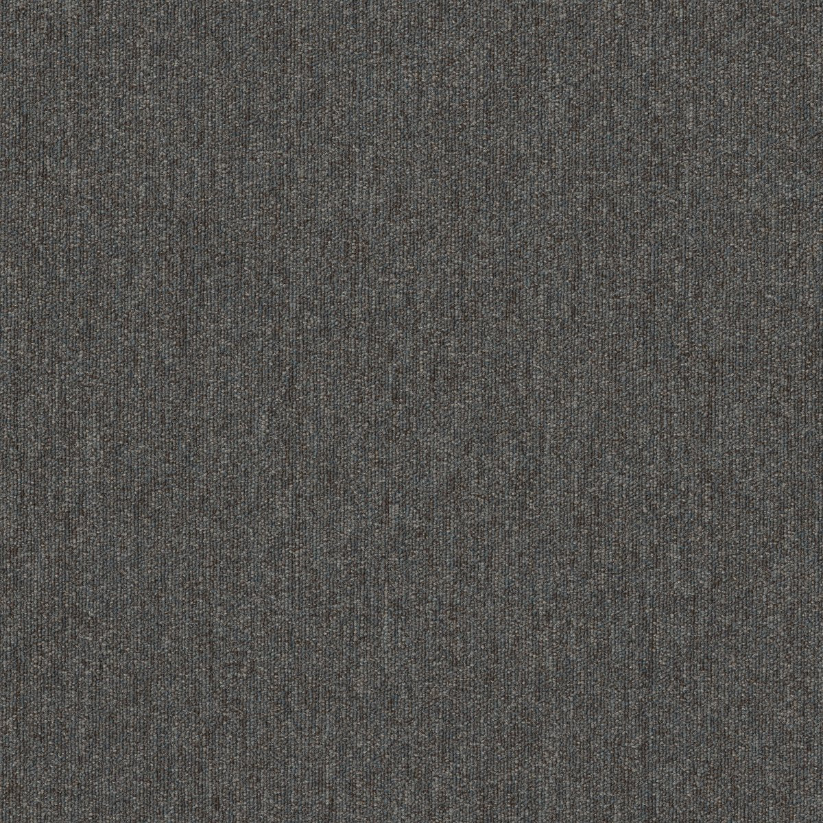 Profusion 26 Oodles 00510