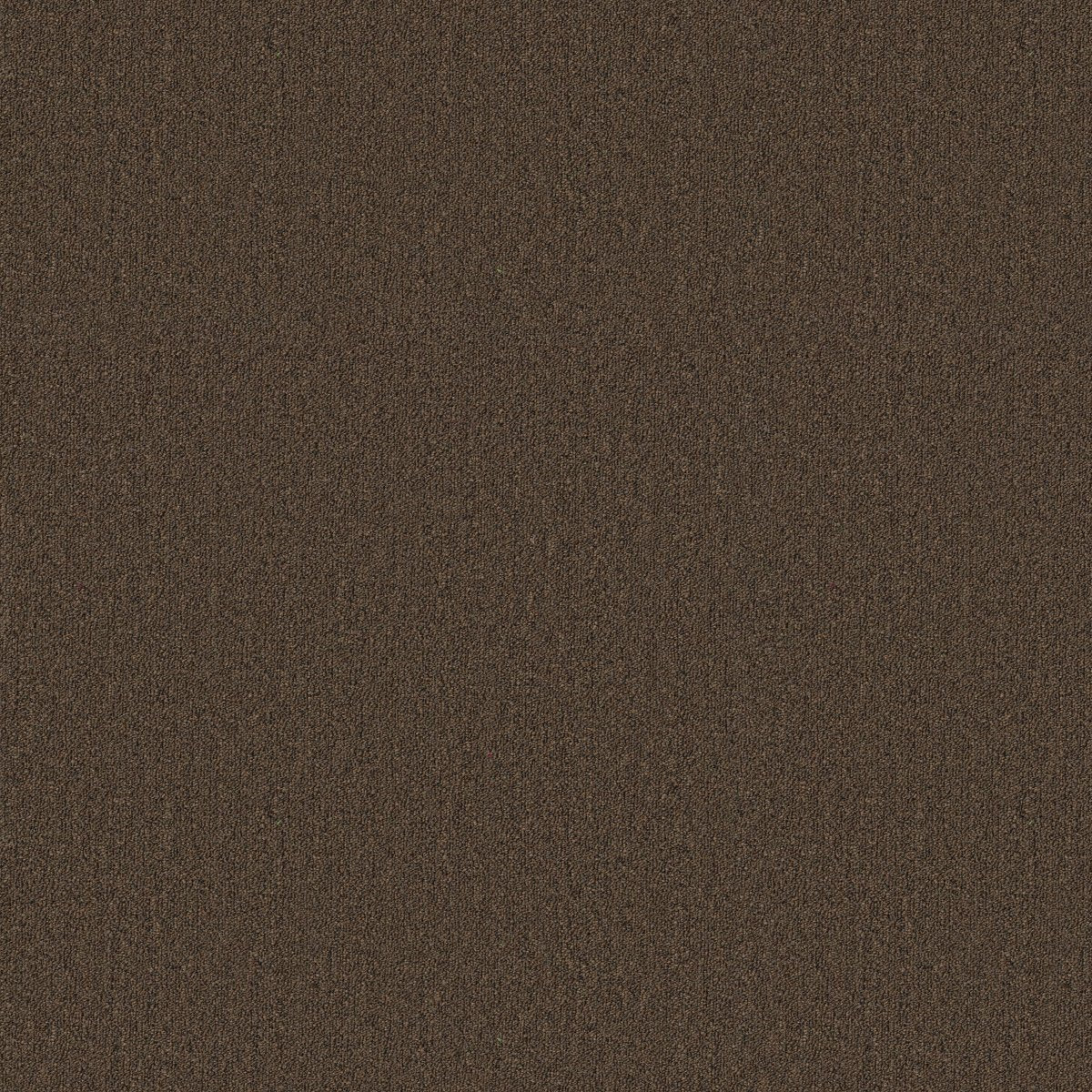 Profusion 26 Overflow 00735