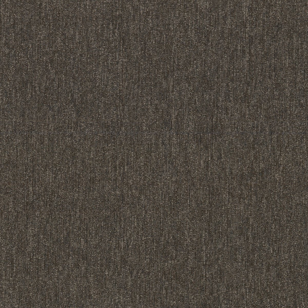 Profusion 26 Scads 00715