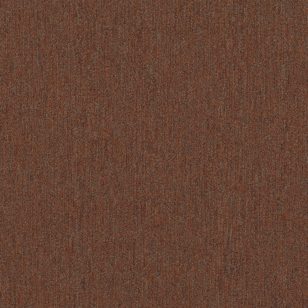 Profusion 26 Surplus 00600
