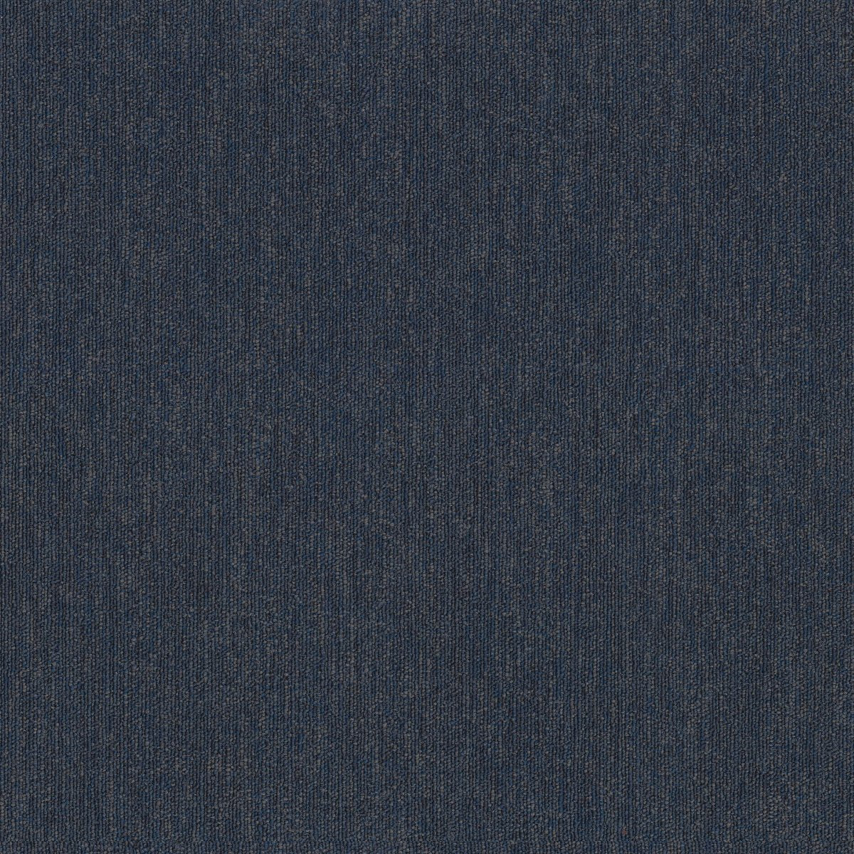 Profusion 26 Volume 00415
