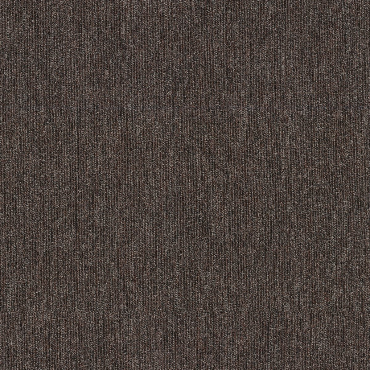 Profusion Tile Abundance 00725