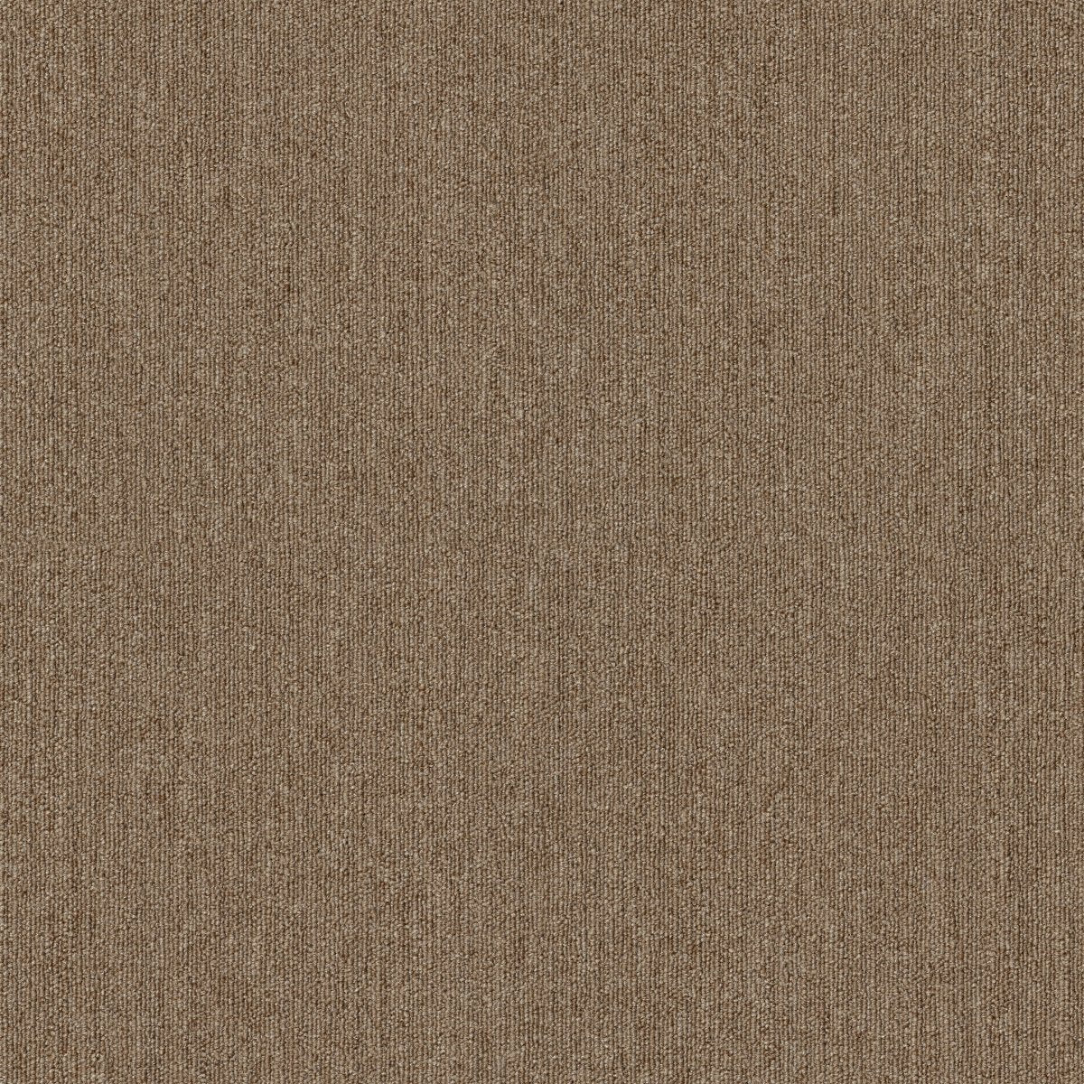 Profusion Tile Ample 00230