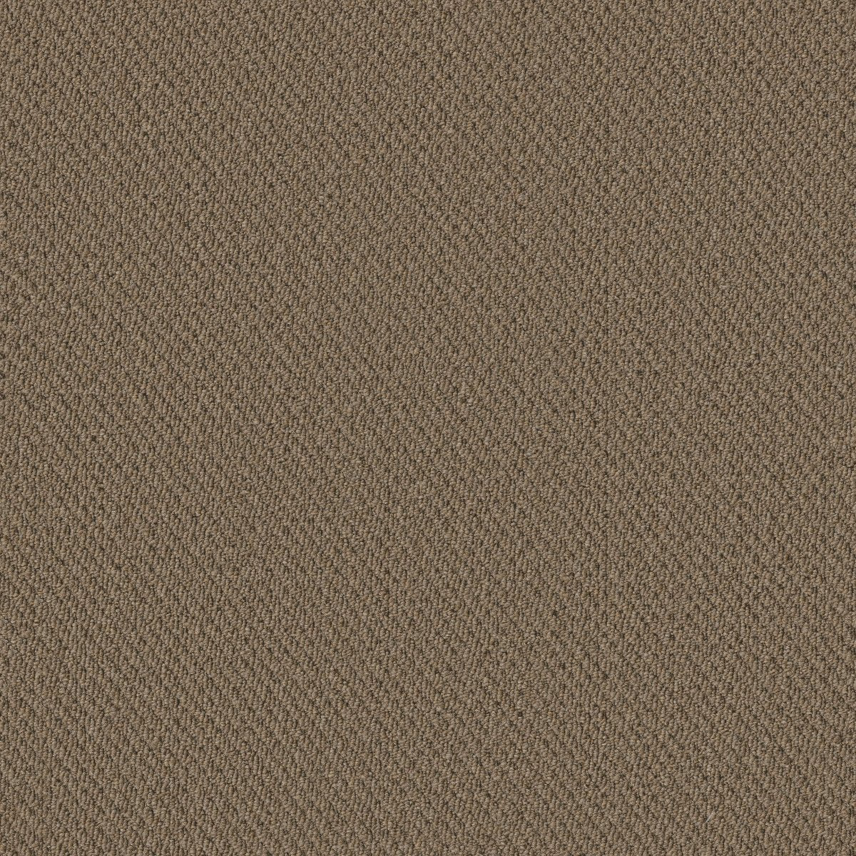 Prospect Anticipate 83104