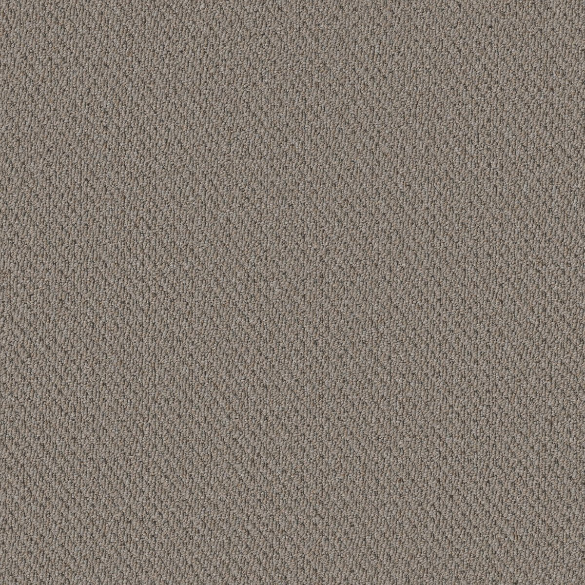 Prospect Perspective 83501