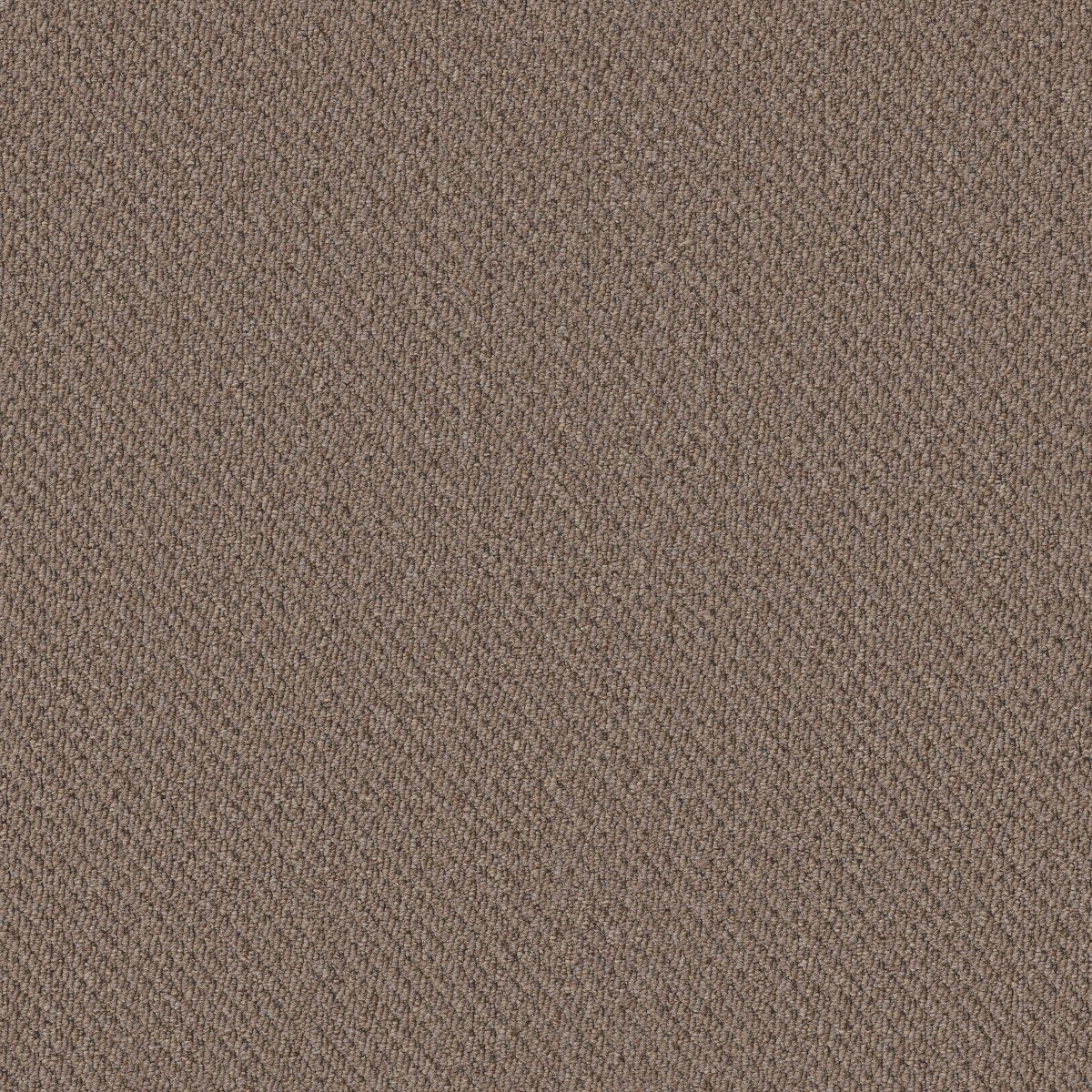 Prospect Promise 83108