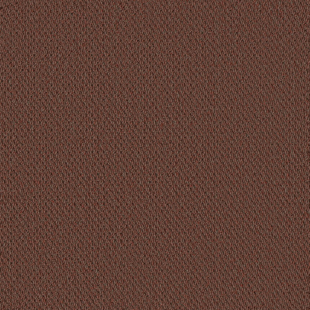 Prospect Proposal 83650