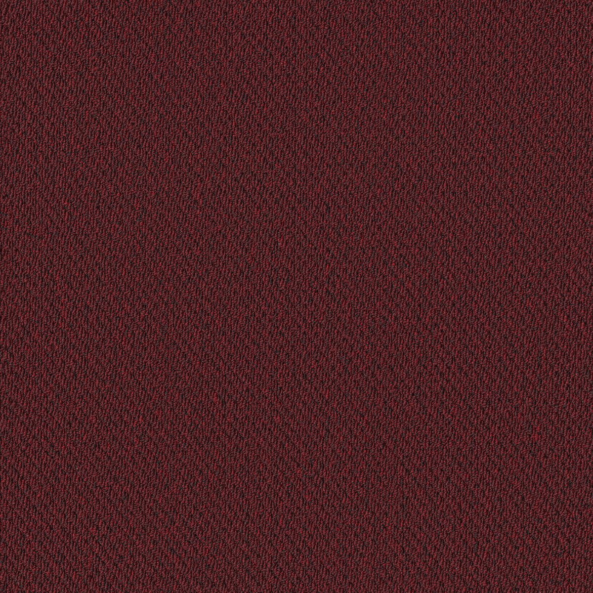 Prospect User 83850