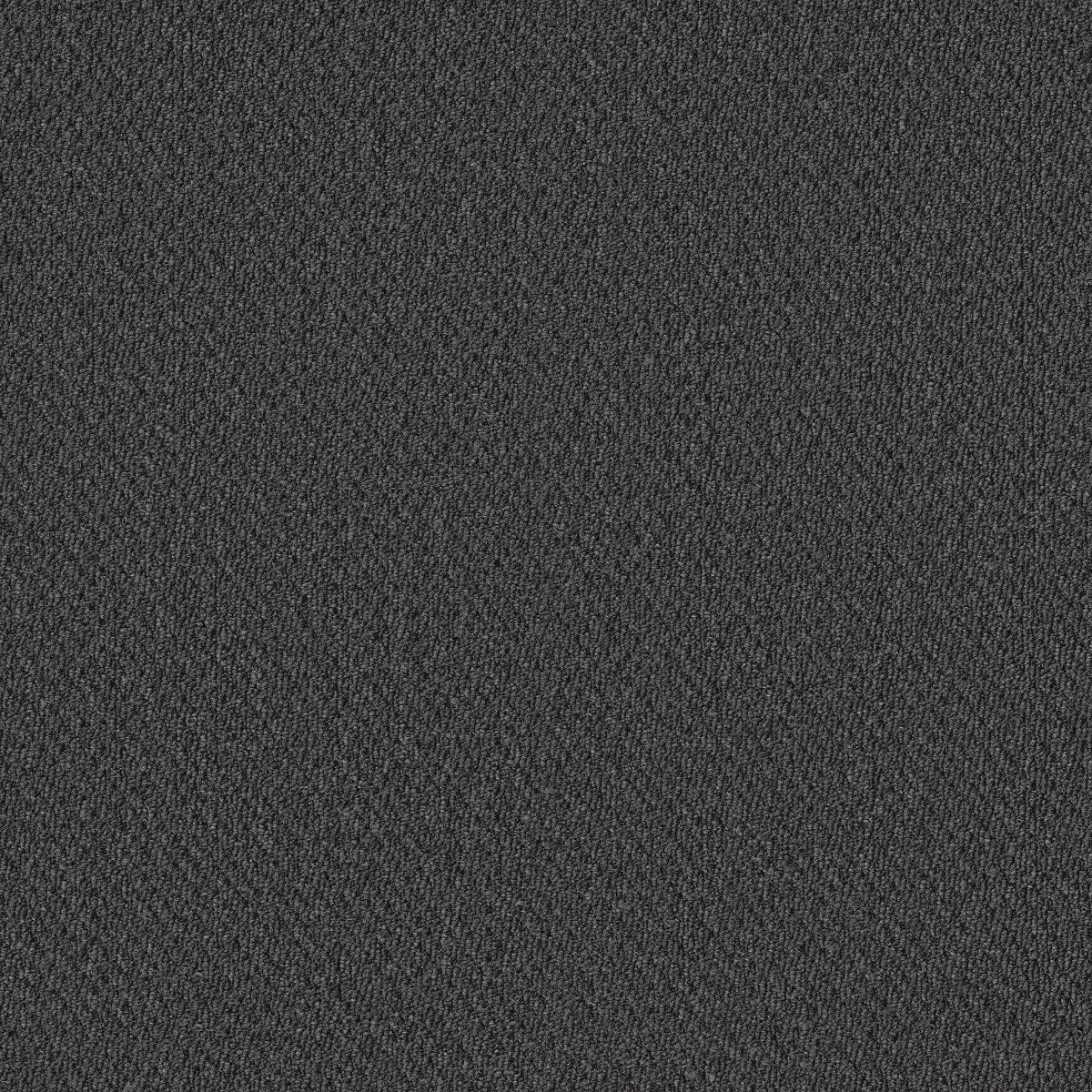 Prospect Vision 83550