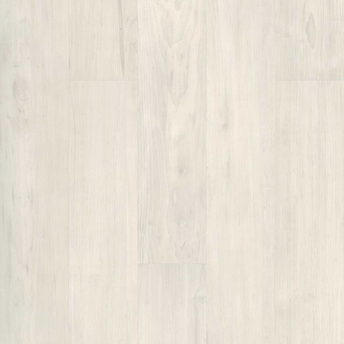 Purview 20 Bone 00100