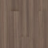 Purview 20 Marron 00715