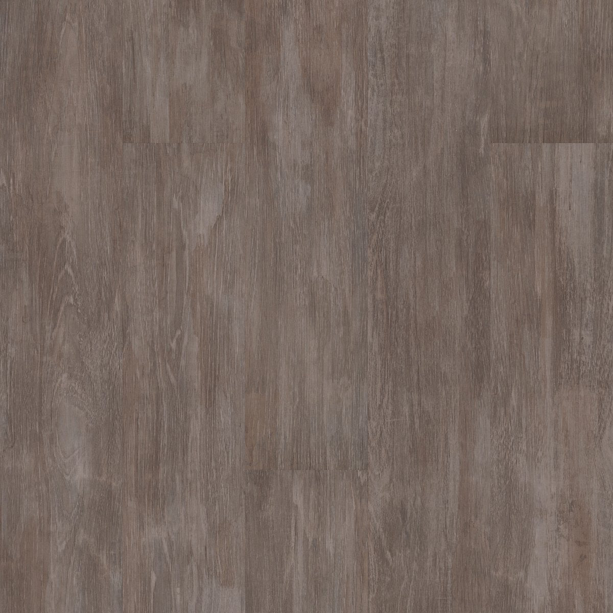 Purview 5.0 Jasper 00510