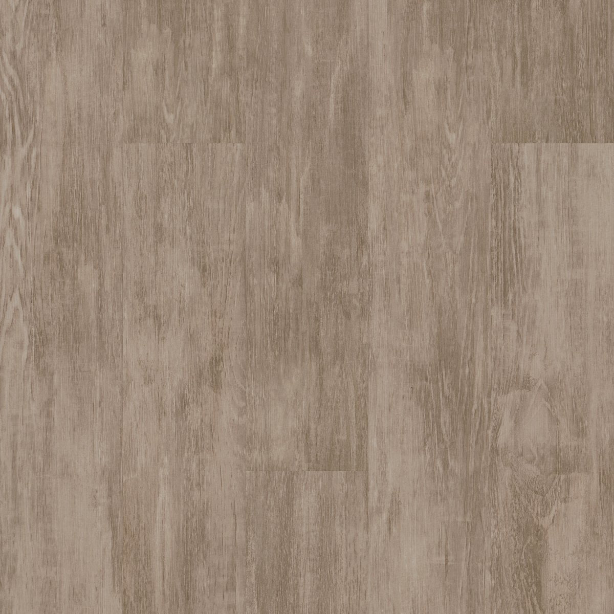 Purview 5.0 Patina 00200