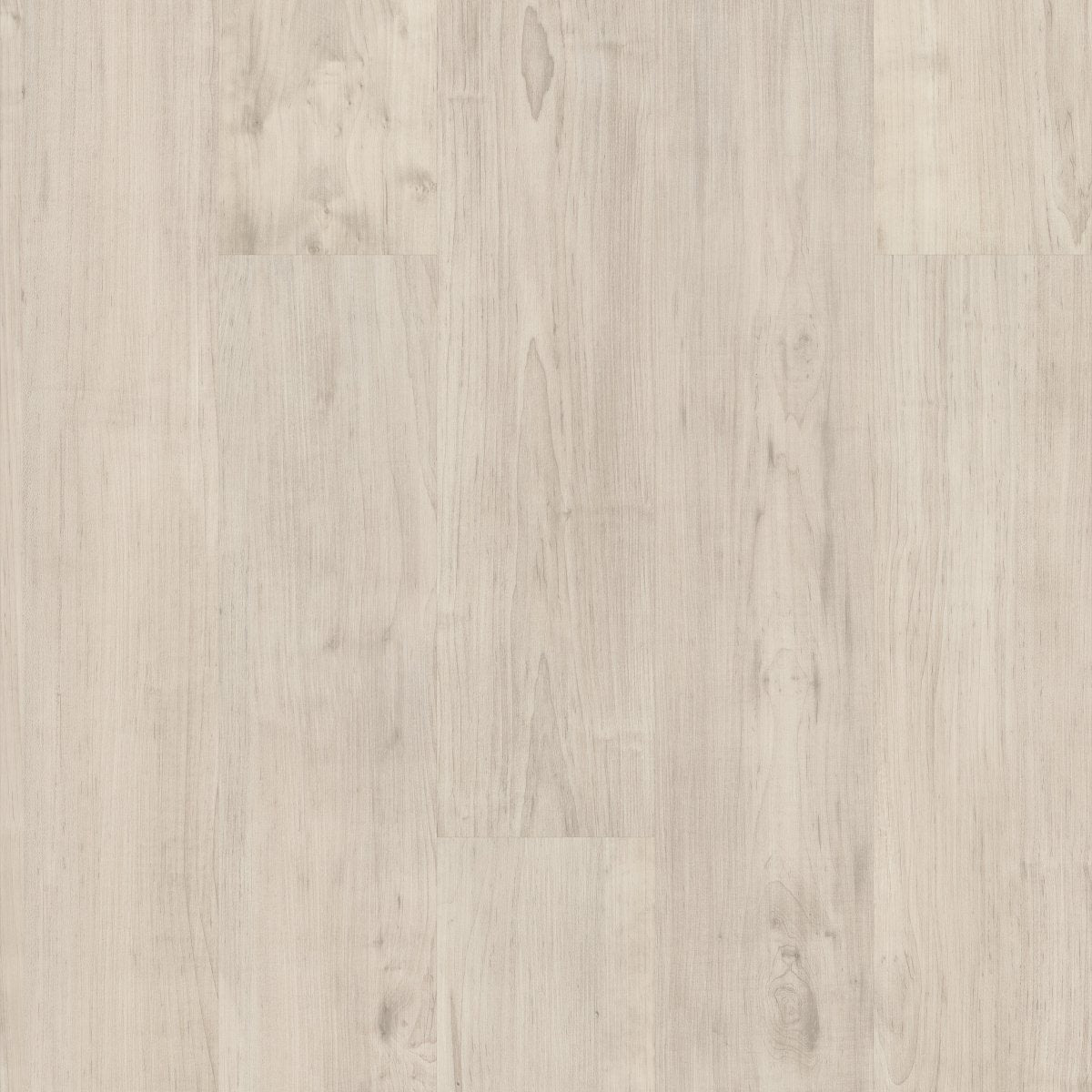 Purview 5.0 Antler 00105