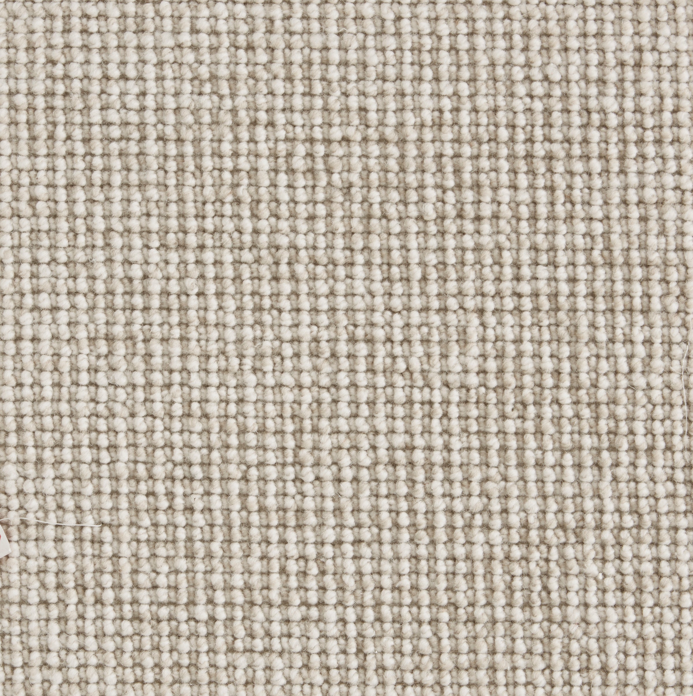 71753 Dove Stanton Broadloom Wool Carpet Pike – 13 ft 2 in wide - GreenFlooringSupply.com