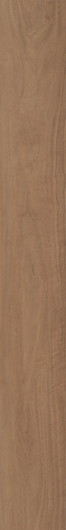 Quietude Subdued Sienna 06043