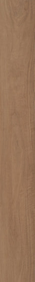 Quietude Subdued Sienna 06043