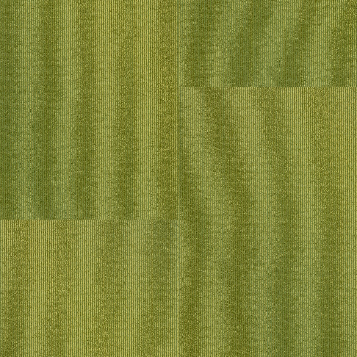 Radiate Gleaming 00260
