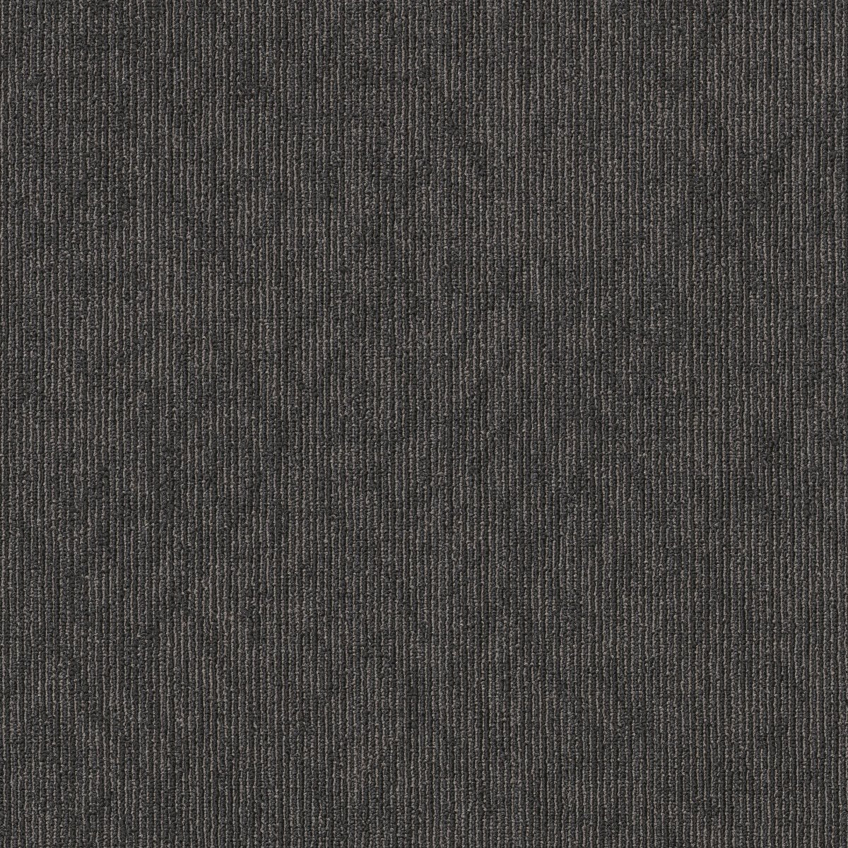 Rare Essence Root 00520