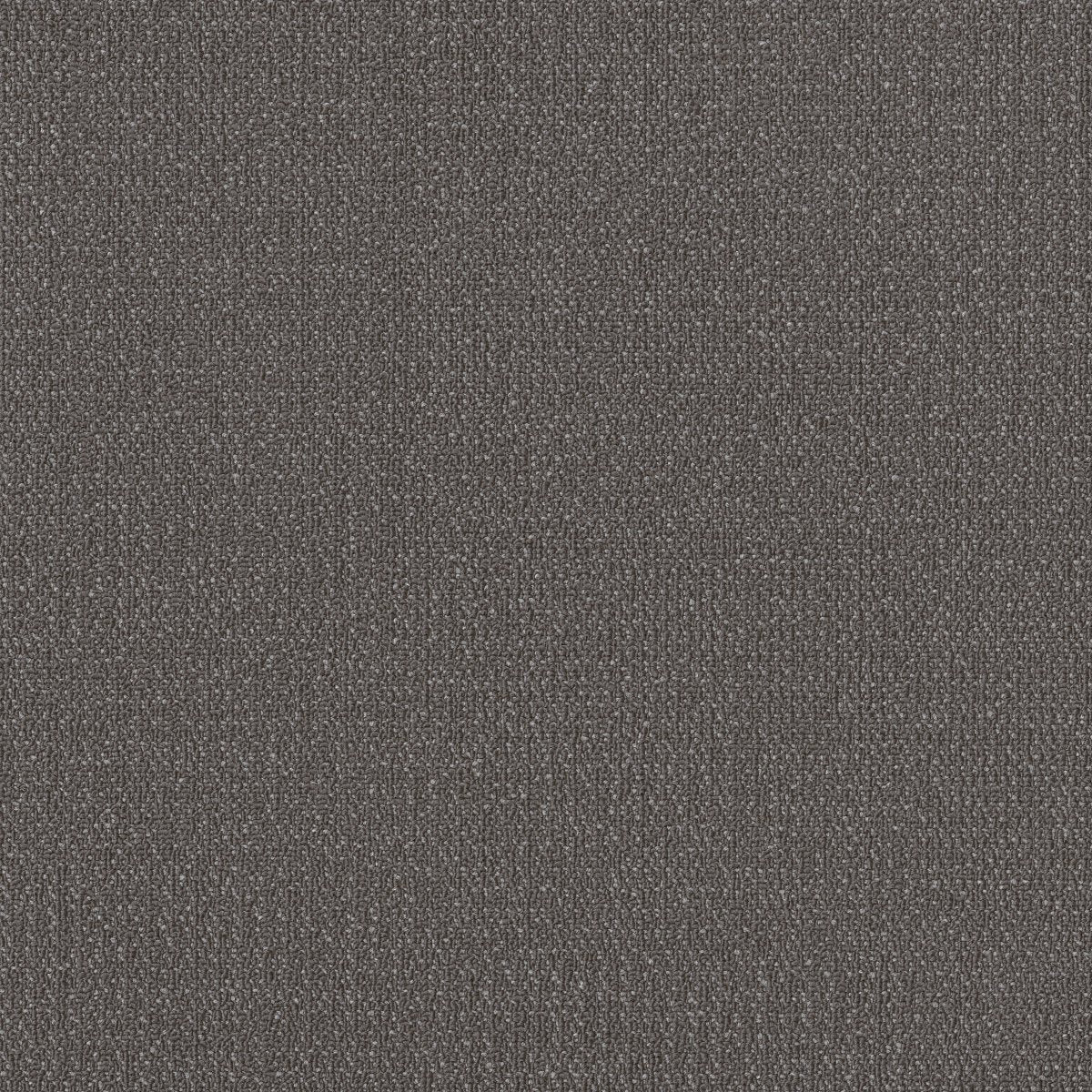 Readapt Compose 00500