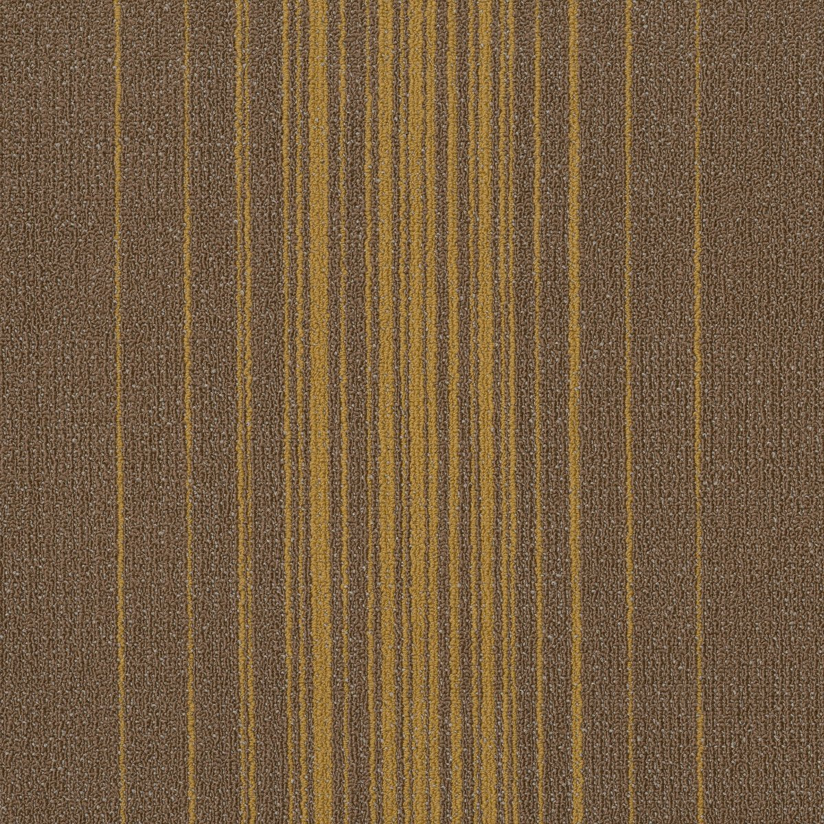 Realign Evolve 00200
