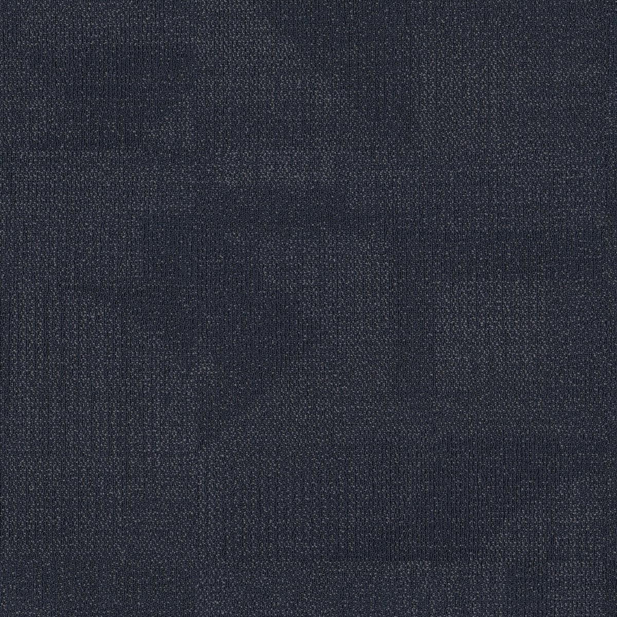 Reemerge Morph 00400