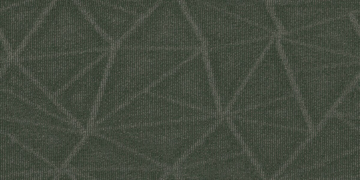 Refine Primitive 00300