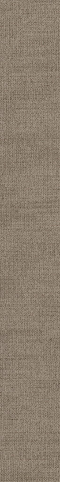 Refined Linen Sanderling 01212