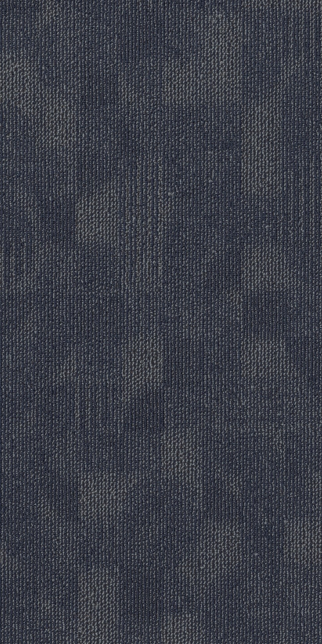 Refocus Morph 00406