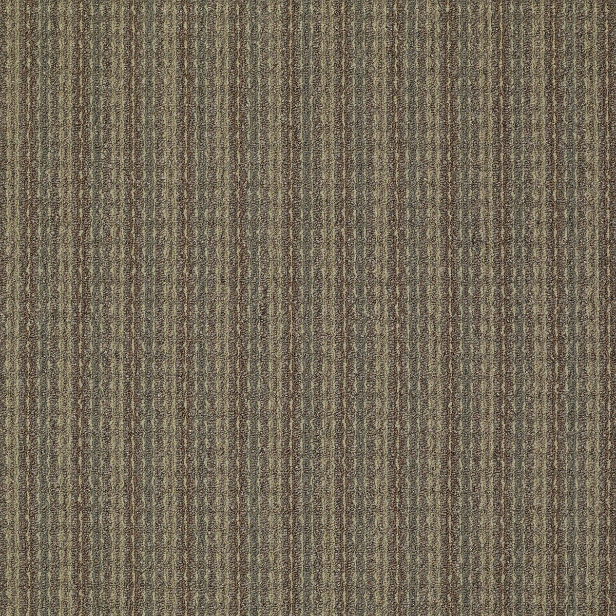 Revamp Develop 00700