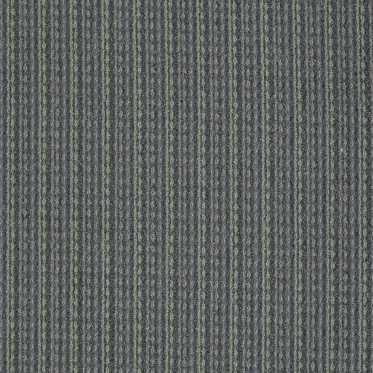 Revamp Elevate 00502