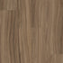 Rewild Delight 00708