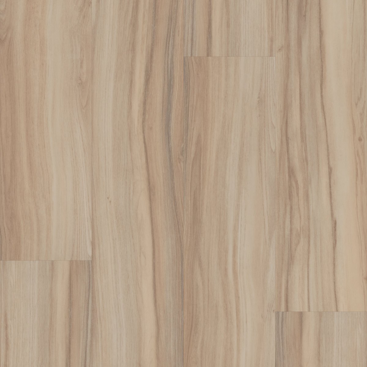 Rewild Native 00105