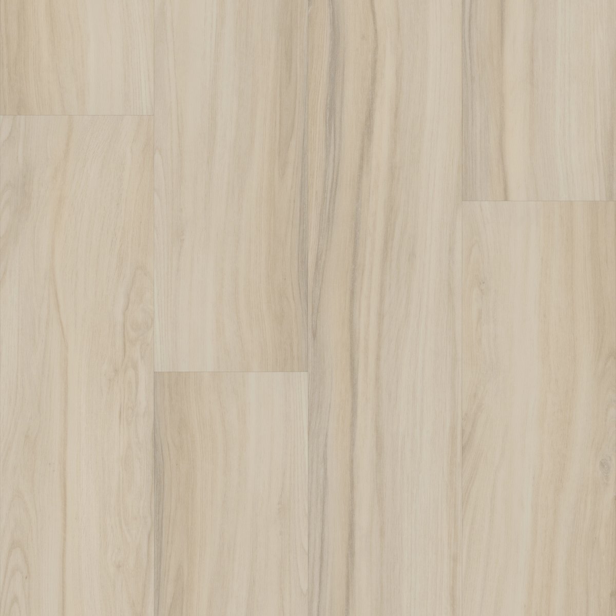 Rewild Vitalize 00100