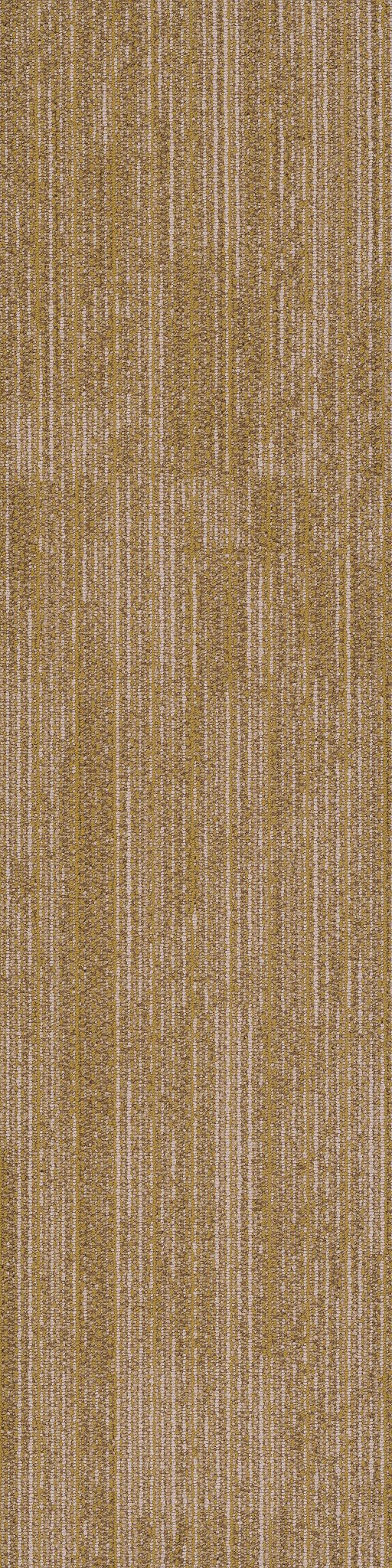 Rhythm Cadence 00200