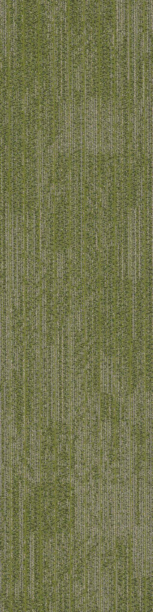 Rhythm Emphasis 00300
