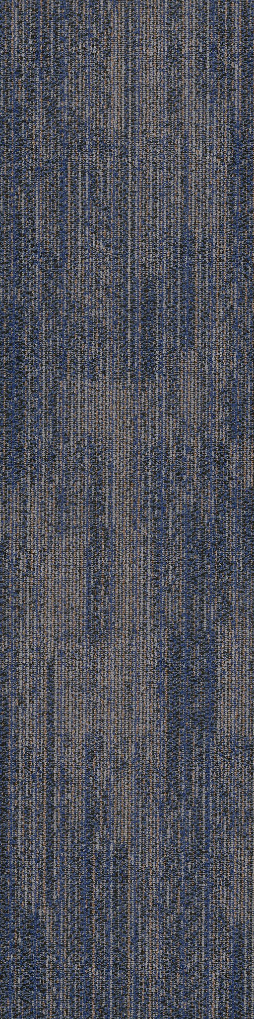 Rhythm Euphony 00400