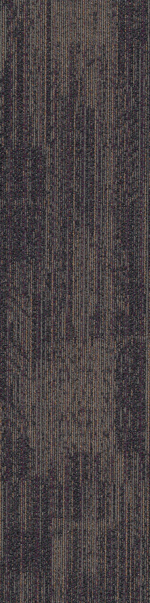 Rhythm Intonation 00900