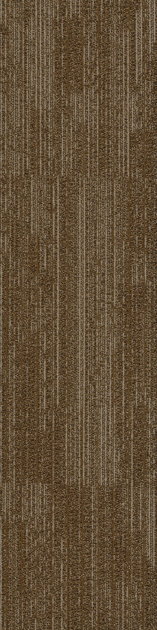 Rhythm Tonality 00700
